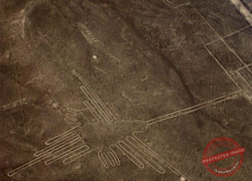 Nazca Lines from San Martin Port