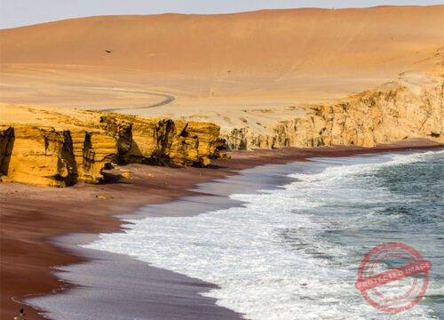 Ballestas Islands & Paracas National Reserve – Half Day Adventure