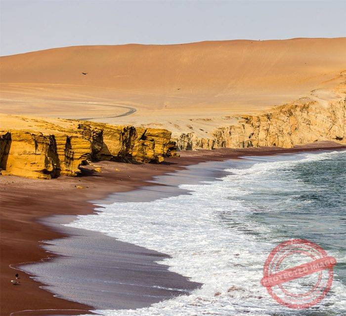 Ballestas Islands & Paracas National Reserve – Half Day Adventure