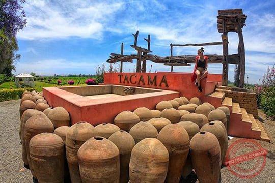 Pisco & Wine Tour | Private Tour