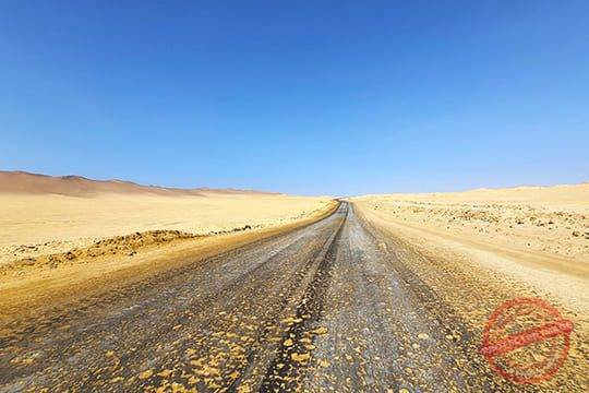 Paracas & Tambo | Private Tour