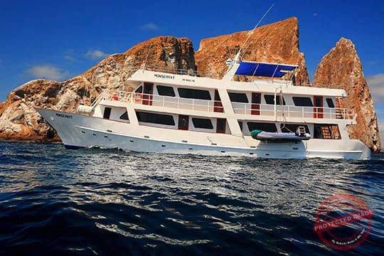 Tailor-Made Tours
